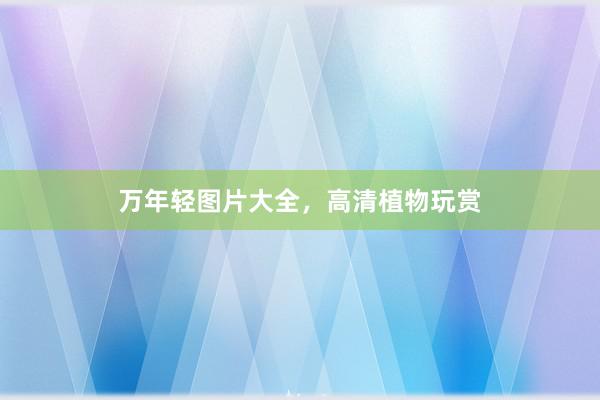 万年轻图片大全，高清植物玩赏
